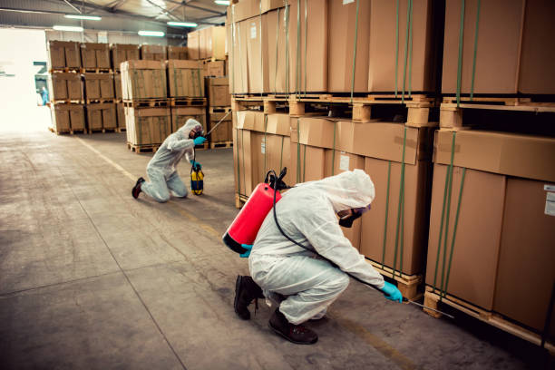 Best Emergency Pest Control  in Seal Beach, CA