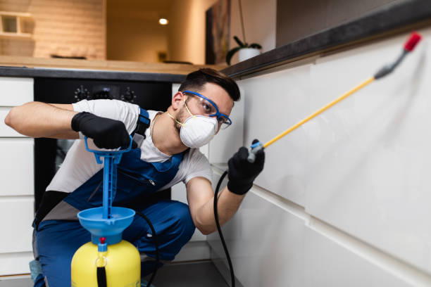 Best Pest Control Near Me  in Seal Beach, CA