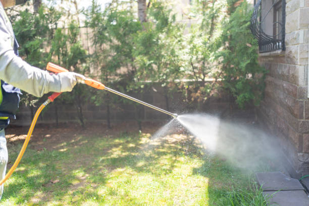 Best Mosquito Control Services  in Seal Beach, CA