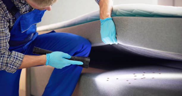 Best Rat Extermination Near Me  in Seal Beach, CA