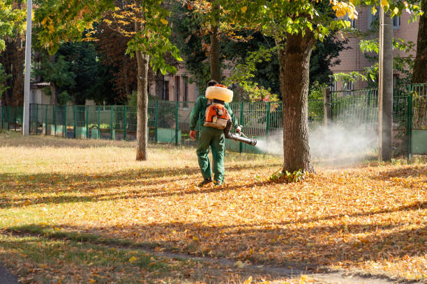 Best Wildlife Control Services  in Seal Beach, CA