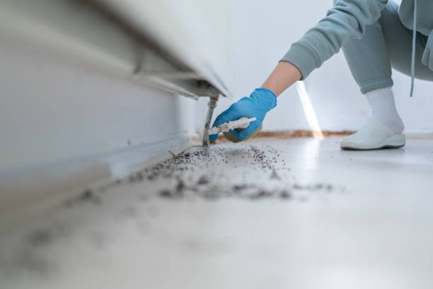 Best Cockroach Control Services  in Seal Beach, CA